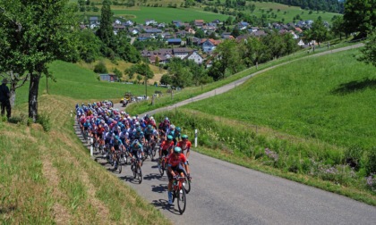 Estate in... gara: ciclisti pronti con bici da strada oppure mountain bike