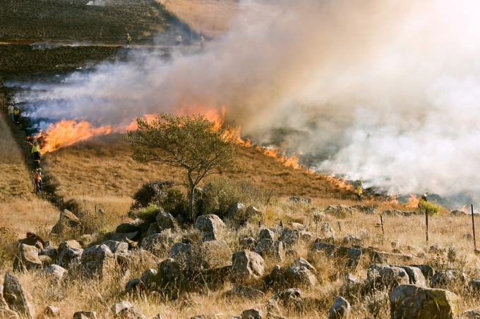 Rischio incendi, “la strada non è un posacenere”