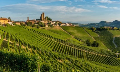 Spighe Verdi 2023: i comuni rurali virtuosi salgono a 72. Trionfo Piemonte e Toscana