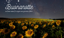 Buonanotte domenica 6 agosto 2023: frasi e immagini gratis da inviare via WhatsApp