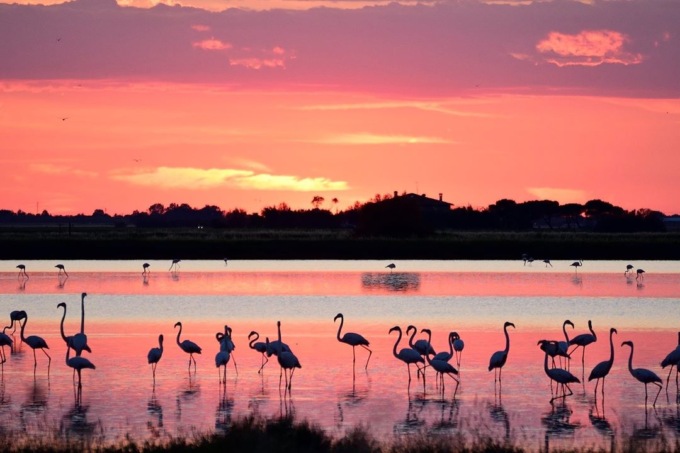 Lo spettacolare lago dall’acqua rosa: dove è e perché è di questo colore