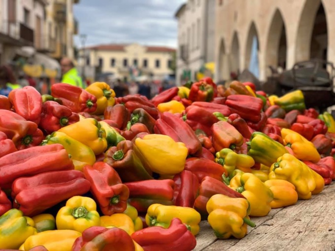 Feste e sagre in Veneto: gli eventi di sabato 26 e domenica 27 agosto 2023