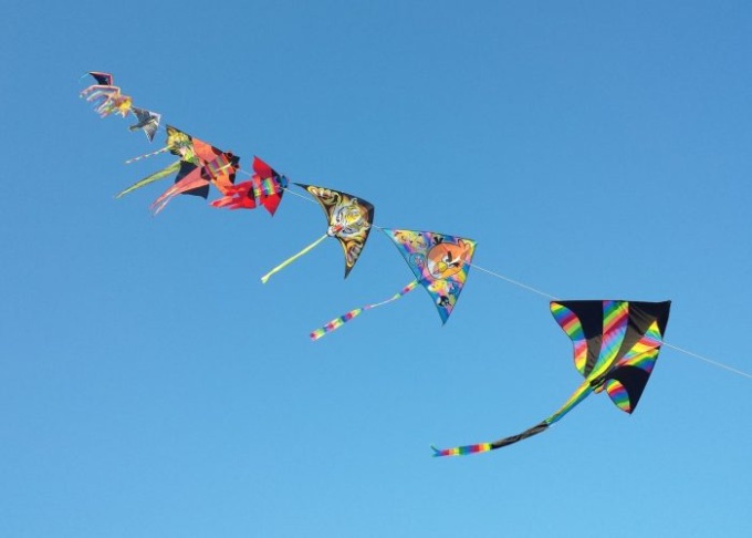 Feste e sagre nelle Marche: gli eventi di sabato 2 e domenica 3 settembre 2023