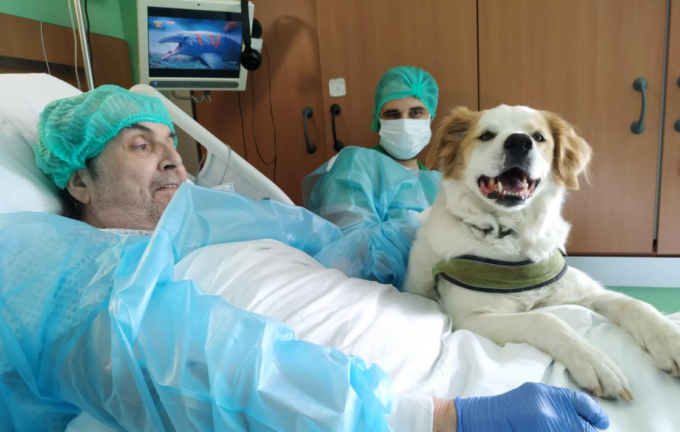 Il desiderio sottovoce dopo un anno di ricovero: “Vorrei vedere il mio cane”. E i medici lo esaudiscono