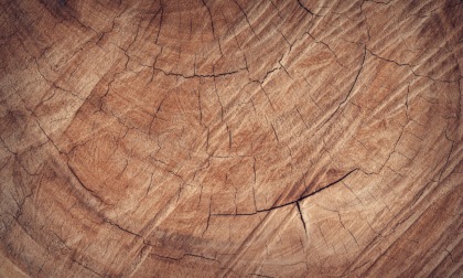 Essenze del legno, quali sono le più gettonate?