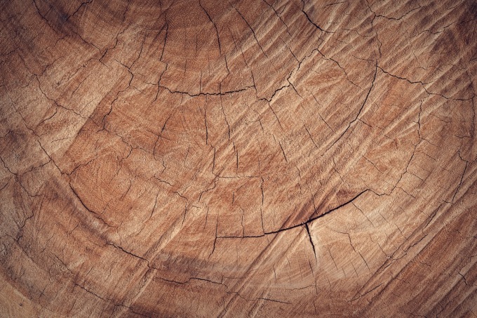 Essenze del legno, quali sono le più gettonate?