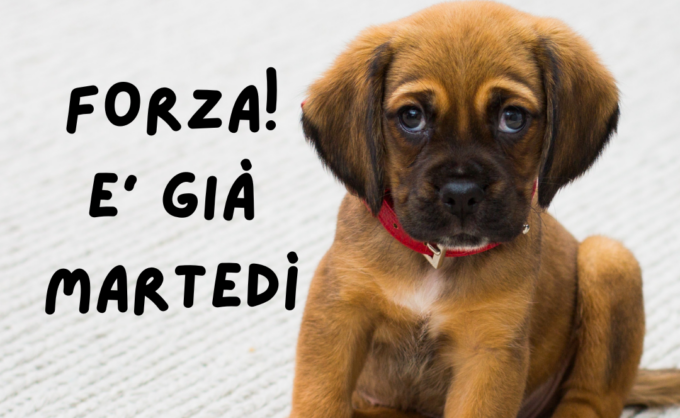 Buongiorno buon martedì 5 settembre 2023: frasi e immagini gratis da inviare via WhatsApp