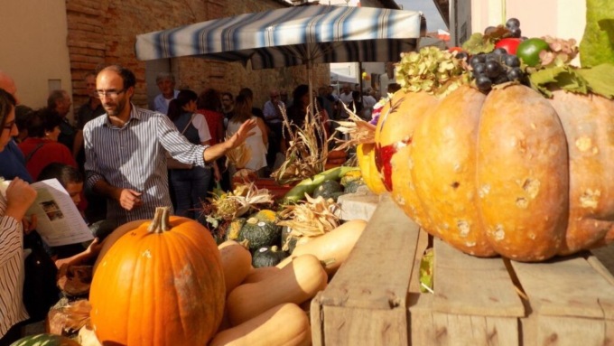 Feste e sagre in Piemonte: gli eventi di sabato 23 e domenica 24 settembre 2023
