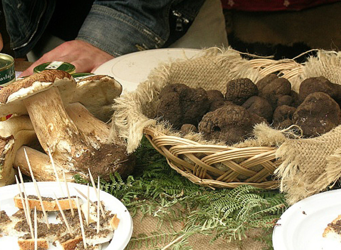 Feste e sagre in Toscana: gli eventi di sabato 23 e domenica 24 settembre 2023
