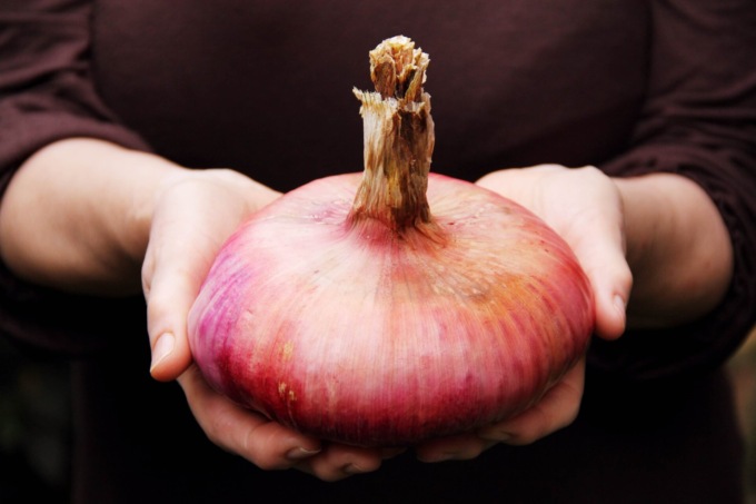 Feste e sagre in Umbria: gli eventi di sabato 9 e domenica 10 settembre 2023