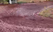 Un fiume di vino inonda le strade del paese: l'incredibile video