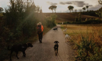 Cammino per gli animali 2023: sulla via di San Francesco in difesa dei loro diritti