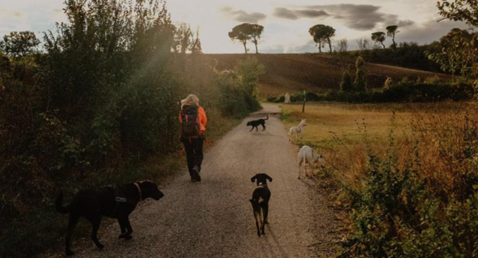 Cammino per gli animali 2023: sulla via di San Francesco in difesa dei loro diritti