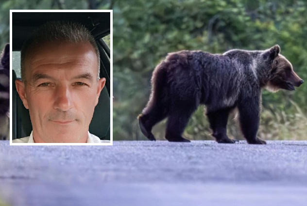 Orsa Amarena, parla l’uomo che l’ha uccisa: “Non vivo più”