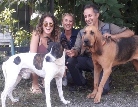 Cane fugge dopo un incidente, viene investito quattro volte e si salva. Torna a casa dopo una settimana