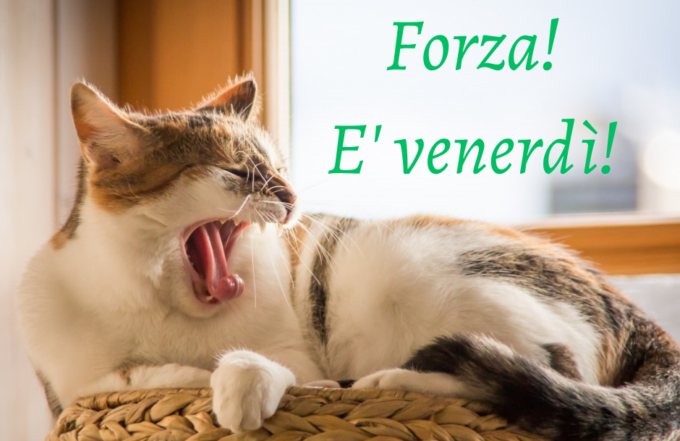 Buongiorno buon venerdì 6 ottobre 2023: frasi e immagini gratis da inviare via WhatsApp