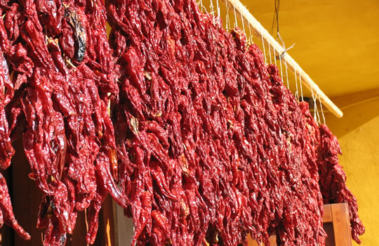 Feste e sagre in Basilicata: gli eventi di sabato 7 e domenica ottobre 2023