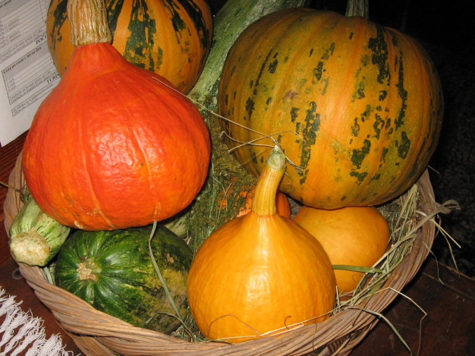 Feste e sagre in Liguria: gli eventi di sabato 21 e domenica 22 ottobre 2023