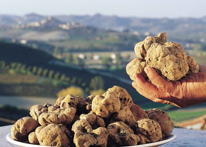 Feste e sagre in Piemonte: gli eventi di sabato 4 e domenica 5 novembre 2023