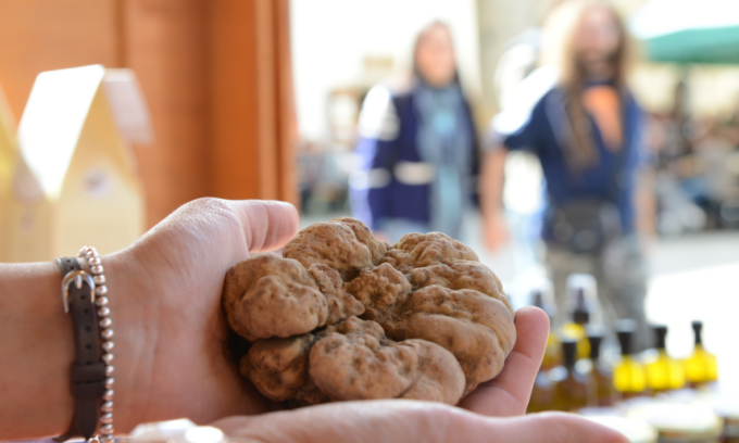 Feste e sagre nelle Marche: gli eventi di sabato 7 e domenica 8 ottobre 2023