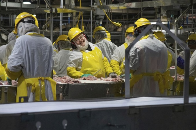 Offerte lavoro: quali sono le professioni più ricercate regione per regione