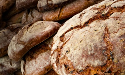 Pane fresco artigianale, come conservarlo nel modo corretto