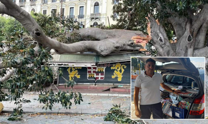 Albero crollato su un’edicola a Cagliari, il titolare: “A distanza di mesi lavoro ancora con l’auto”