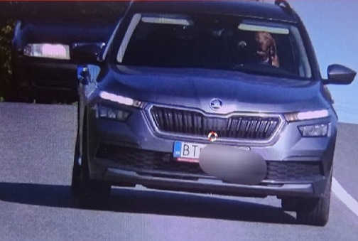 Al volante dell’auto c’è… un cane. L’incredibile foto scattata dall’autovelox