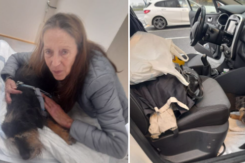 Sfrattata a 66 anni dopo aver perso il lavoro: vive in macchina per non lasciare i suoi cani malati