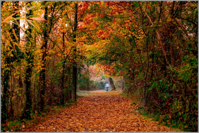 I posti migliori per vedere il foliage in Lombardia