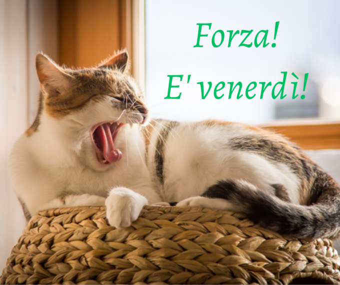 Buongiorno buon venerdì 10 novembre 2023: frasi e immagini gratis da inviare via WhatsApp