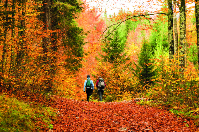 Cosa Fare In Piemonte Nel Weekend Gli Eventi Di Sabato E Domenica Novembre News Prima