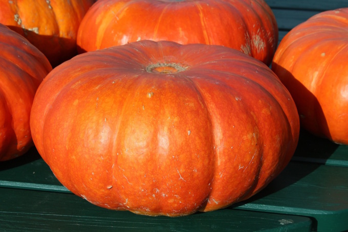 Feste e sagre in Liguria: gli eventi di sabato 18 e domenica 19 novembre 2023