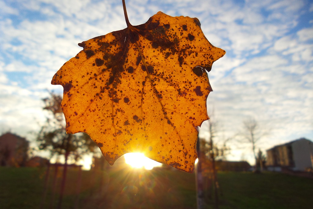 Finalmente torna un po' di sole (ma freddo). Previsioni meteo Piemonte per il weekend