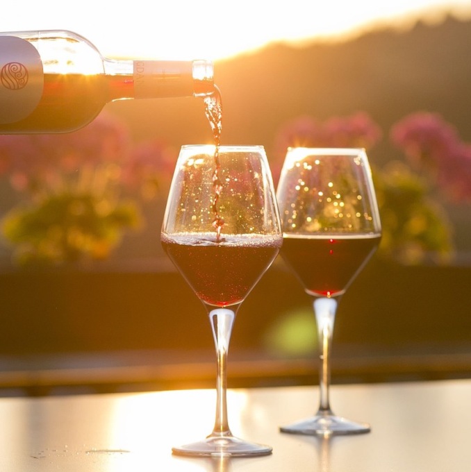Produzione di vino nel mondo: nel 2023 al minimo negli ultimi 62 anni