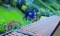 Il video dei ladri forzuti che scappano di casa con la cassaforte piena in mano