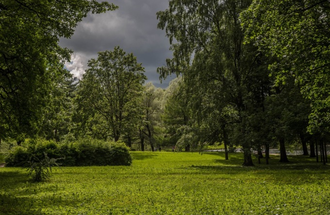 Verde urbano, in Italia soltanto 32,5 mq a testa