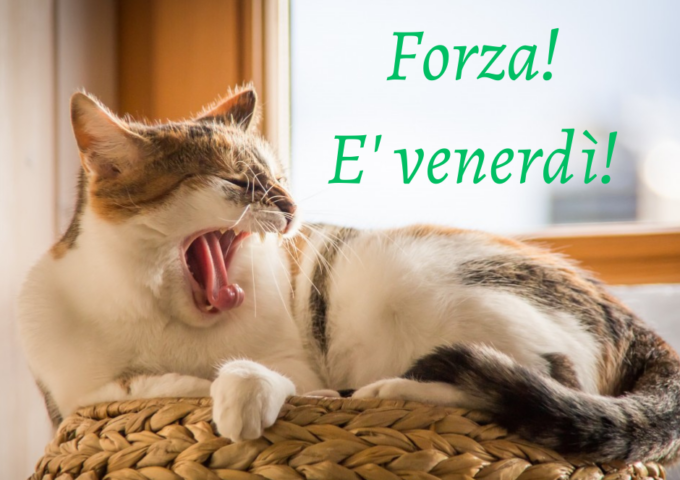 Buongiorno buon venerdì 15 dicembre 2023: frasi e immagini gratis da inviare via WhatsApp