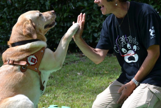 Incredibile: non fanno entrare il cane al cinema, ma era quello di una donna non vedente