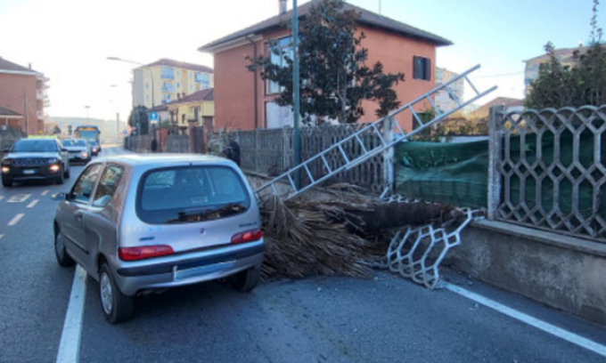 Mentre lo sta tagliando, lui precipita e l’albero finisce su un’auto in strada