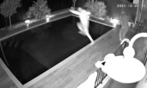 Ladro sorpreso dal cane, scappa tuffandosi in piscina IL VIDEO