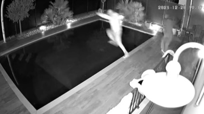 Ladro sorpreso dal cane, scappa tuffandosi in piscina IL VIDEO