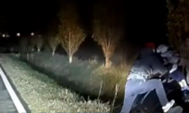 Mamma, neonato e cagnolino nell'auto in fiamme: il video del salvataggio grazie al "passante eroe"