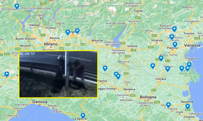 Autovelox abbattuti, elenco e mappa dei blitz di Fleximan: 60 in 13 regioni (fino a inizio marzo 2024)