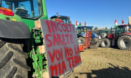 Dal Piemonte, alla Lombardia, alla Toscana: per cosa e come protestano gli agricoltori in Italia