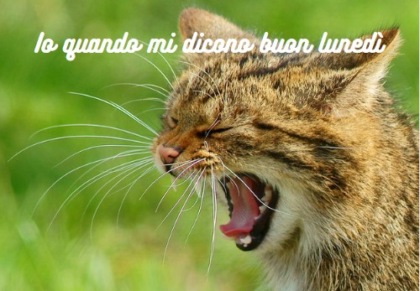 Buongiorno buon lunedì 26 febbraio 2024: frasi e immagini gratis da inviare via WhatsApp