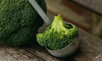 Ricetta pasta e broccoli, un capolavoro di stagione