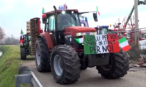Protesta Trattori, Riscatto agricolo: "E' ora di tornare a lavorare". Ma altri 7 movimenti restano sulle barricate