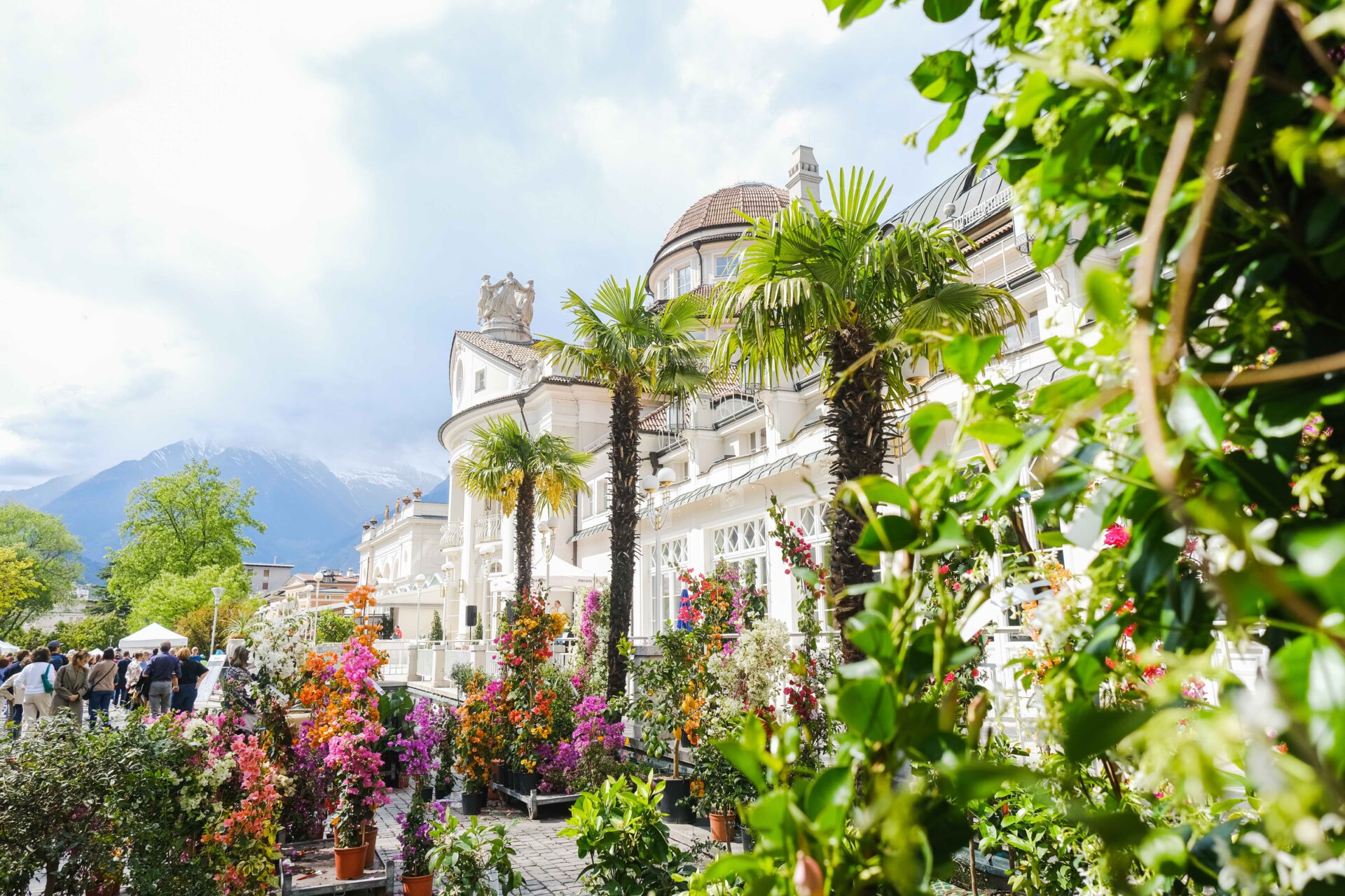 Merano Flower Festival 2024 un tripudio di fiori e piante News Prima