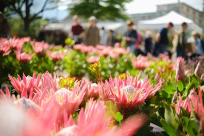 Merano Flower Festival 2024: un tripudio di fiori e piante